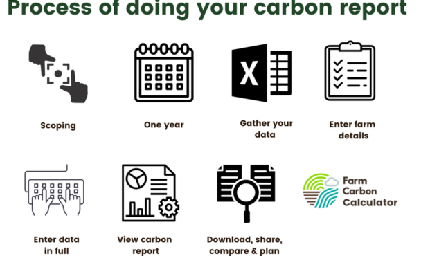 Process of doing your carbon footprint report