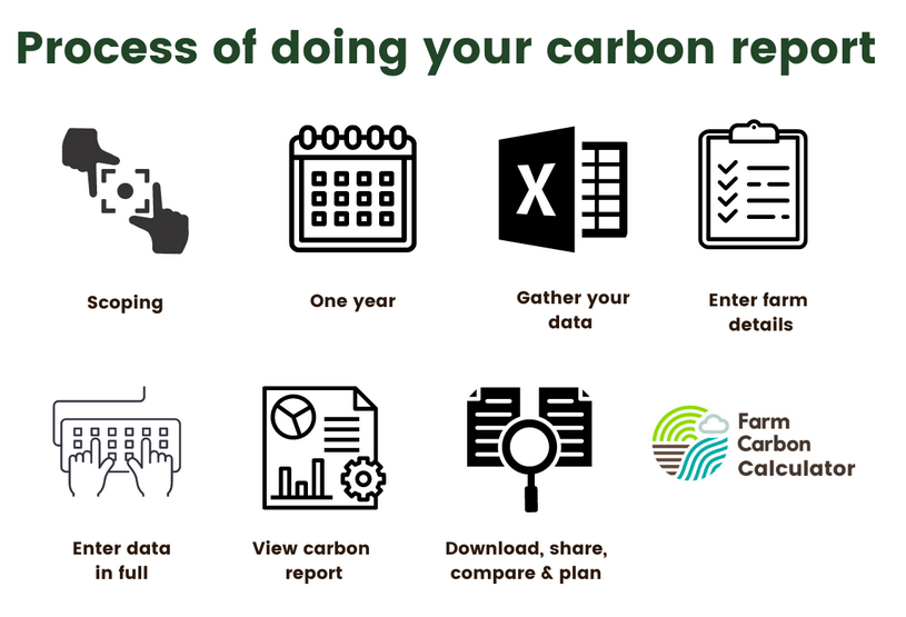 Process of doing your carbon footprint report