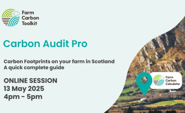 Carbon Audit Pro Title Image