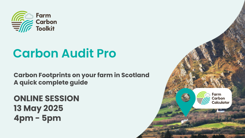 Carbon Audit Pro Title Image