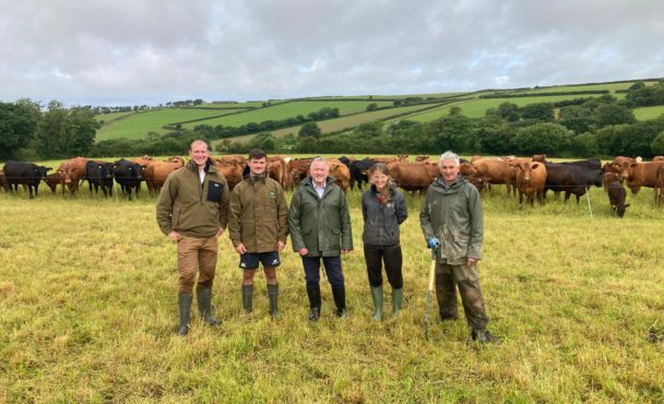 Steve Reed MP Visits Mike and Sam Roberts at Blable Farm, with FCT Farm Advisor Hannah Jones and James Daniel from Precision Grazing.